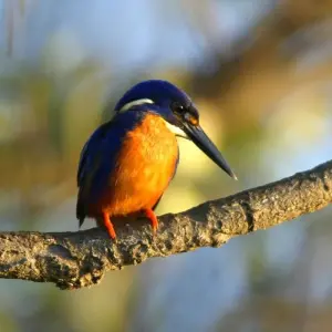 Explore Darwin Getaway with Kakadu & More for 8 days with Australia and New Zealand Travel Company and discover unforgettable experiences - Photo 4