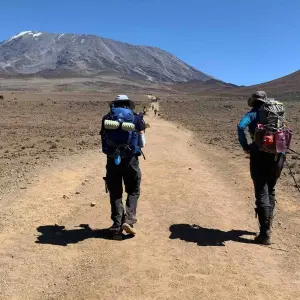 Explore Climb Mt.Kilimanjaro Via Lemosho Route 8 Days for 8 days with Authentic Africa and discover unforgettable experiences - Photo 3