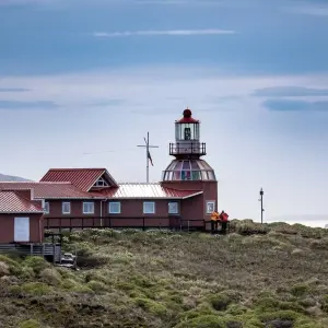 Explore Darwin's Route from Punta Arenas (8 Nights) for 9 days with Australis and discover unforgettable experiences - Photo 9