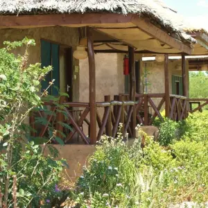 Explore 7 Days 6 Nights Migration Wildlife Safari for 7 days with Authentic Africa and discover unforgettable experiences - Photo 4