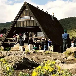 Explore Kilimanjaro Climb Lemosho Route 8 days for 8 days with Authentic Africa and discover unforgettable experiences - Photo 3