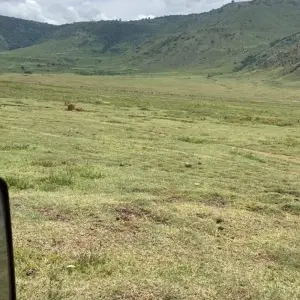 Explore 7 Days Tanzania Classic Safari for 7 days with Authentic Africa and discover unforgettable experiences - Photo 4