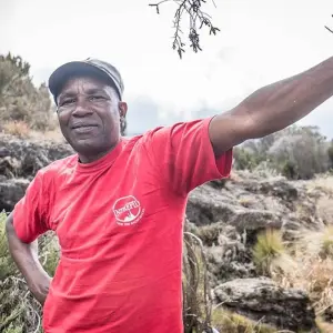 Explore Kilimanjaro Climb Lemosho Route 8 days for 8 days with Authentic Africa and discover unforgettable experiences - Photo 4