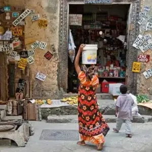 Explore 7 Days Tanzania Classic Safari for 7 days with Authentic Africa and discover unforgettable experiences - Photo 5