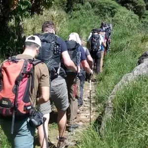 Explore Mount Kilimanjaro Trek (Marangu Route) 8D/7N for 8 days with Authentic Africa and discover unforgettable experiences - Photo 5