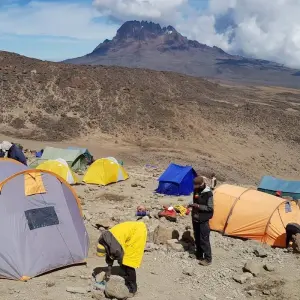 Explore Big Five Classic Safari in Tanzania **Sustainable Approach to Travel for 7 days with Authentic Africa and discover unforgettable experiences - Photo 6