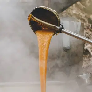 Explore Pure Nature in Northern Ecuador - 7 Days for 7 days with Authentic Ecuador and discover unforgettable experiences - Photo 4