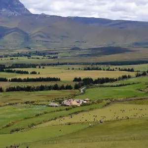 Explore Flavors of Ecuador - A Culinary Expedition through Andean Delights (6 Days) for 6 days with Authentic Ecuador and discover unforgettable experiences - Photo 4