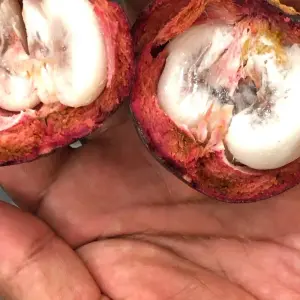 Explore 6 Days Quito off-the-beaten-path for 6 days with Authentic Ecuador and discover unforgettable experiences - Photo 3