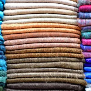 Explore Cycling in Ecuador - Exploring the Country's Natural Wonders on Two Wheels for 8 days with Authentic Ecuador and discover unforgettable experiences - Photo 5