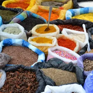 Explore 9-Day Ecuador Hacienda Hopping for 9 days with Authentic Ecuador and discover unforgettable experiences - Photo 7