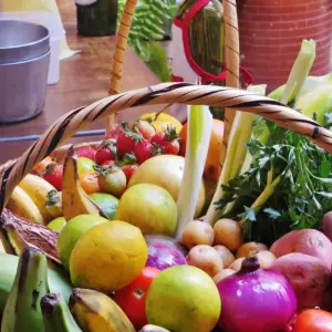 Explore 10-Day Family Adventure in Ecuador: Andean Highlands, Baños, & the Amazon rainforest's foothills for 10 days with Authentic Ecuador and discover unforgettable experiences - Photo 6