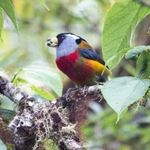 Explore Cycling in Ecuador - Exploring the Country's Natural Wonders on Two Wheels for 8 days with Authentic Ecuador and discover unforgettable experiences - Photo 7