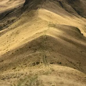 Explore Hiking & Trekking in the Heart of the Ecuadorian Andes - 7 Days for 7 days with Authentic Ecuador and discover unforgettable experiences - Photo 8