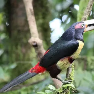 Explore Cycling in Ecuador - Exploring the Country's Natural Wonders on Two Wheels for 8 days with Authentic Ecuador and discover unforgettable experiences - Photo 8