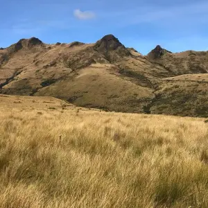 Explore Hiking & Trekking in the Heart of the Ecuadorian Andes - 7 Days for 7 days with Authentic Ecuador and discover unforgettable experiences - Photo 9