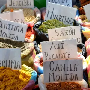 Explore 5-Day Ecuador Adventure: Quito's Must-See Spots and Nearby Gems for 5 days with Authentic Ecuador and discover unforgettable experiences - Photo 9