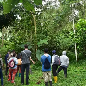 Explore Cycling in Ecuador - Exploring the Country's Natural Wonders on Two Wheels for 8 days with Authentic Ecuador and discover unforgettable experiences - Photo 9