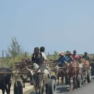 Explore Madagascar, the Island of Contrast for 21 days with Authentic Madagascar Tours and discover unforgettable experiences - Photo 4