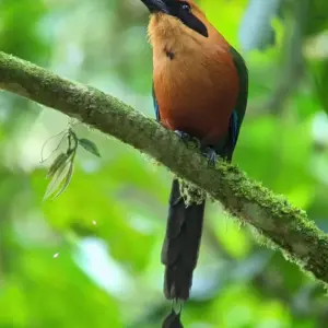 Explore An Andean Adventure: From the Highlands to the Cloudforest for 10 days with Authentic Ecuador and discover unforgettable experiences - Photo 9