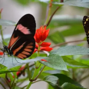 Explore An Andean Adventure: From the Highlands to the Cloudforest for 10 days with Authentic Ecuador and discover unforgettable experiences - Photo 10