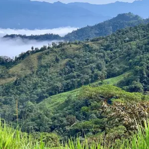 Explore Cycling in Ecuador - Exploring the Country's Natural Wonders on Two Wheels for 8 days with Authentic Ecuador and discover unforgettable experiences - Photo 11