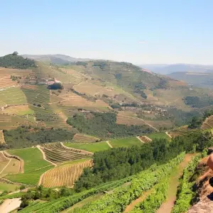 Explore Douro Valley guided ebike tour for 8 days with Authentic Trails and discover unforgettable experiences - Photo 3