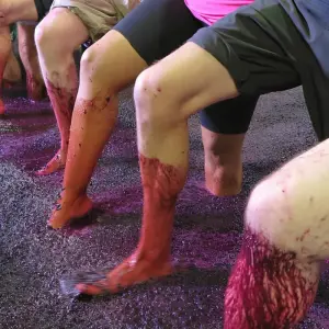 Explore Douro Valley guided ebike tour for 8 days with Authentic Trails and discover unforgettable experiences - Photo 4