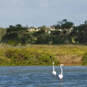 Explore Algarve Seaside self-guided hike tour for 8 days with Authentic Trails and discover unforgettable experiences - Photo 3