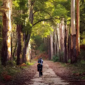 Explore Porto to Lisbon guided bike tour for 8 days with Authentic Trails and discover unforgettable experiences - Photo 8