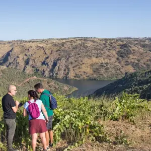 Explore Douro International Natural Park self-guided hike tour for 8 days with Authentic Trails and discover unforgettable experiences - Photo 2