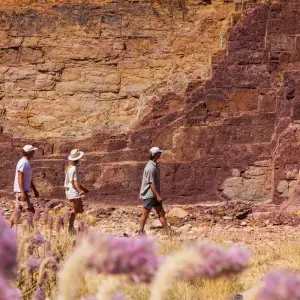 Explore 4 Day Red Centre Uluru to West MacDonnell 4WD Tour - from Ayers Rock to Alice Springs for 4 days with Autopia Tours and discover unforgettable experiences - Photo 4