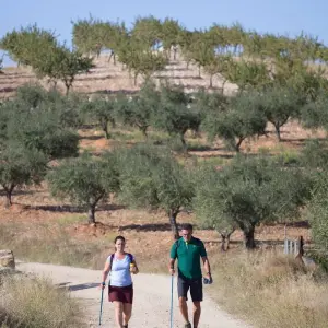 Explore Douro International Natural Park self-guided hike tour for 8 days with Authentic Trails and discover unforgettable experiences - Photo 7