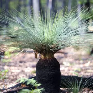 Explore Grampians National Park & Wildlife Escape for 1 days with Autopia Tours and discover unforgettable experiences - Photo 3