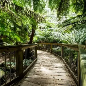 Explore 3 Day Melbourne to Adelaide Overland Adventure Tour (Accommodated) for 3 days with Autopia Tours and discover unforgettable experiences - Photo 3