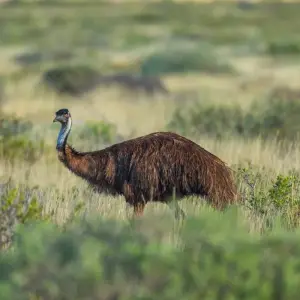 Explore 6 Day Perth to Exmouth Coral Coaster One Way Adventure for 6 days with Autopia Tours and discover unforgettable experiences - Photo 5