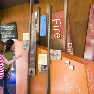 Explore Grampians National Park & Wildlife Escape for 1 days with Autopia Tours and discover unforgettable experiences - Photo 6