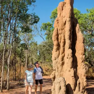 Explore Litchfield National Park & Wildlife Experience for 1 days with Autopia Tours and discover unforgettable experiences - Photo 2