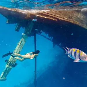 Explore 7 Days Maldives Dream Escape: Sun, Sand, and Snorkeling Bliss for 7 days with Autopia Tours and discover unforgettable experiences - Photo 8