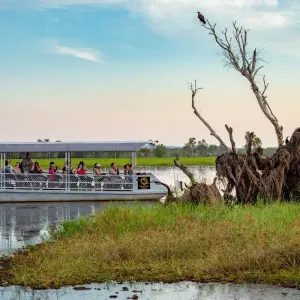 Explore 2 Day Kakadu Retreat & Yellow Water Cruise Tour from Darwin for 2 days with Autopia Tours and discover unforgettable experiences - Photo 11