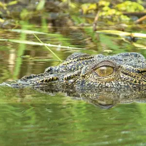 Explore Kakadu National Park Wildlife Day Trip for 1 days with Autopia Tours and discover unforgettable experiences - Photo 5