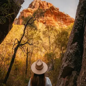 Explore 3 Day Kakadu & Litchfield 4WD Soft Adventure (Camping) Tour for 3 days with Autopia Tours and discover unforgettable experiences - Photo 11