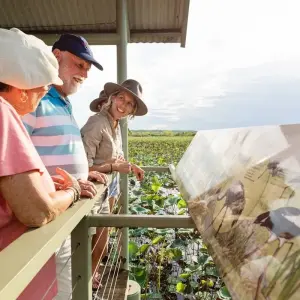 Explore 4 Day Kakadu & Katherine Gorge Cultural Experience (Accommodated) for 4 days with Autopia Tours and discover unforgettable experiences - Photo 6