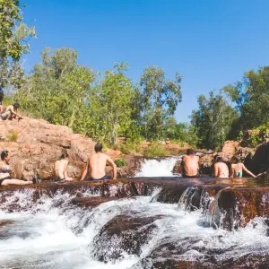 Explore Litchfield National Park & Wildlife Experience for 1 days with Autopia Tours and discover unforgettable experiences - Photo 6
