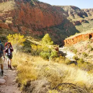 Explore 5 Day Trek The Larapinta Trail A Guided Tour for 5 days with Autopia Tours and discover unforgettable experiences - Photo 3