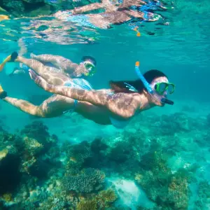 Explore 6 Day Perth to Exmouth Coral Coaster One Way Adventure for 6 days with Autopia Tours and discover unforgettable experiences - Photo 10