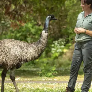 Explore 3 Day Melbourne to Adelaide Overland Adventure Tour (Accommodated) for 3 days with Autopia Tours and discover unforgettable experiences - Photo 9