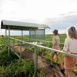Explore Kakadu National Park Wildlife Day Trip for 1 days with Autopia Tours and discover unforgettable experiences - Photo 10