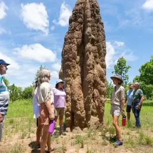 Explore 5 Day Kakadu Katherine Litchfield 4WD Active Adventure (Camping) for 5 days with Autopia Tours and discover unforgettable experiences - Photo 10