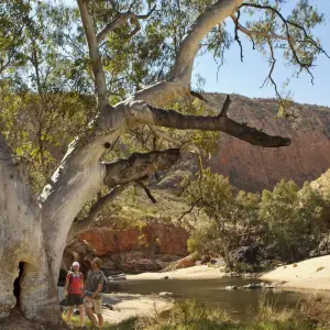Explore 5 Day Trek The Larapinta Trail A Guided Tour for 5 days with Autopia Tours and discover unforgettable experiences - Photo 10